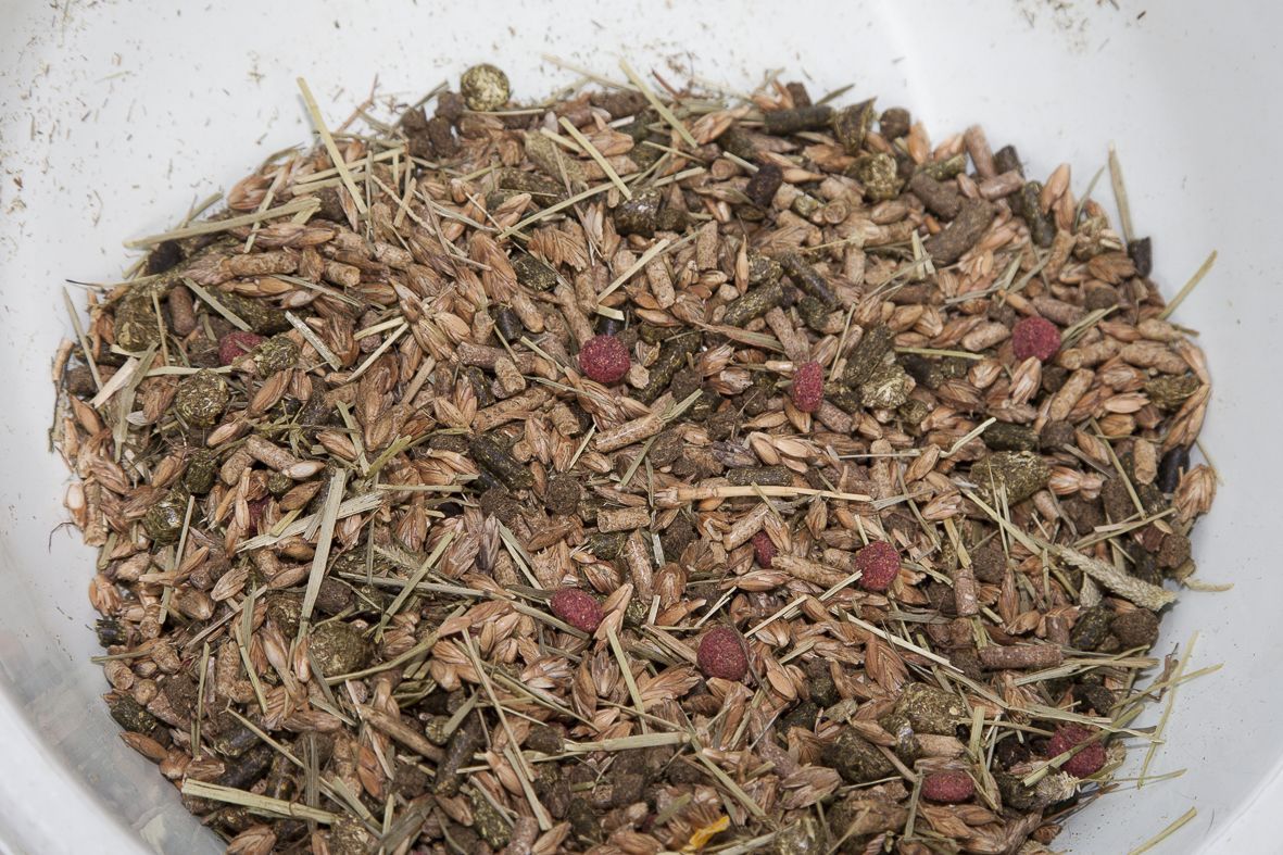 Pro Plus (Kleine pallet - 10 zakken van 20 kg)