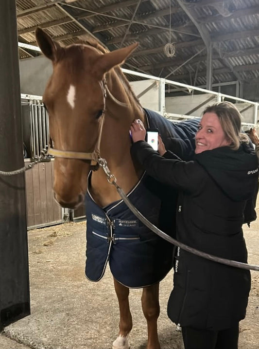 miHealth treatment horse stomach and intestinal problems