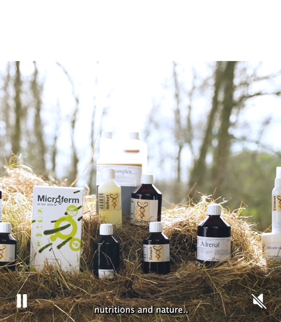 natuurlijke supplementen voor paarden vetmade